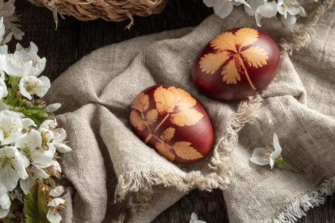 Two Easter eggs dyed with onion peels Stock Photos