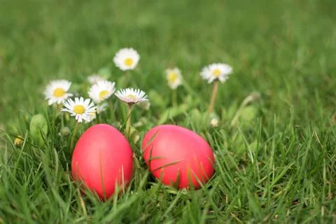 Two Easter eggs in the grass Stock-Fotos