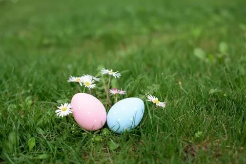 Two easter eggs, ping and blue, in a grass Stock Photos