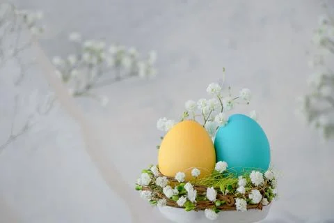 Two Easter eggs yellow and blue in a green nest around white spring flowers.. Stock Photos