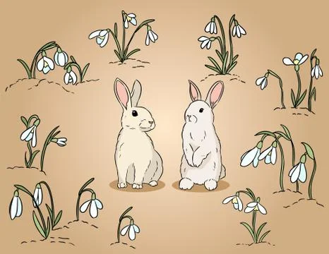 Two easter rabbits among the snowdrops hand drawn colorful illustration Stock Illustration