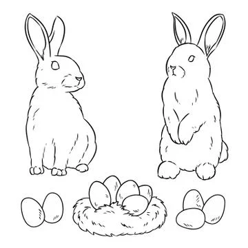 Two easter rabbits and easter eggs. Cartoon image doodle for coloring. Linear Stock Illustration