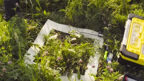 Two ecologist examining plants on the meadow Video stock 95395516