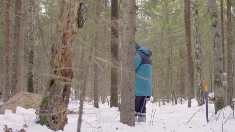 Two ecologist in the forest Stock Footage 105931026