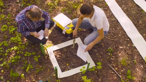 Two ecologist getting samples of soil in the forest Stock Footage 95301023