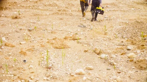 Two ecologists going to the point of research 動画素材 92922762