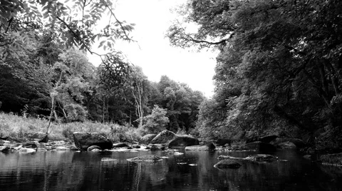 Two edited sequences of a river in a lush forest. Transition made by ink smudge. Stock Footage 68353362