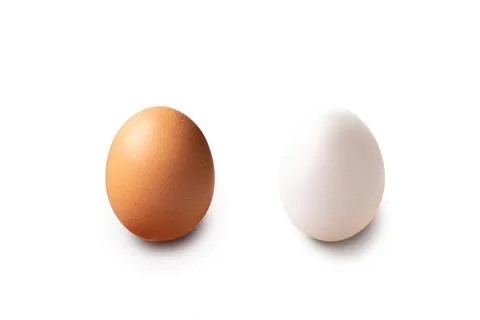 Two egg brown and white. chicken and duck isolated on white background Stock Photos