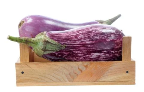 Two eggplants Stock Photos