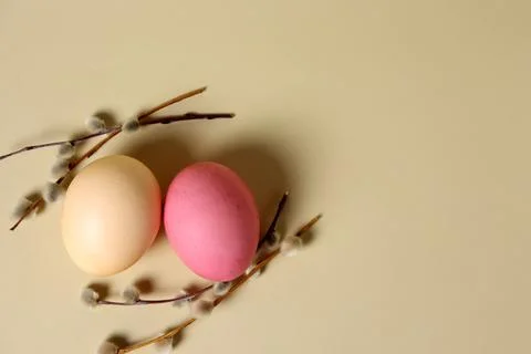 Two eggs and branches on a soft background, set in a simple arrangement for a Foto stock