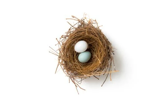 Two eggs in bird nest Stock Photos