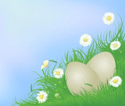Two eggs Stock Illustration