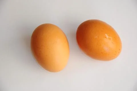 Two eggs isolate Stock Photos