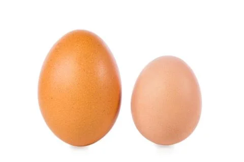 Two eggs, one from an young hen or poltry 库存照片