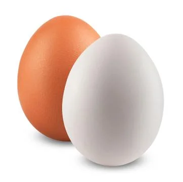 Two eggs Stock Photos
