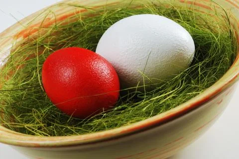 Two eggs  in a plate with green grass Stock Photos