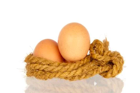 Two eggs in rope nest Stock Photos