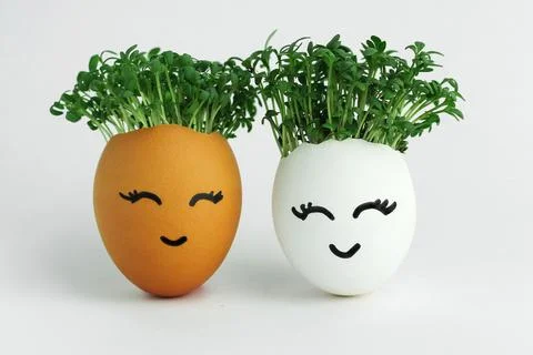 Two eggs with seedlings inside. A cute face is painted on the shell. Concepts Stock Photos