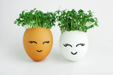 Two eggs with seedlings inside. A cute face is painted on the shell. Concepts Stock Photos