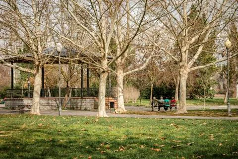 Two elderly couples sitting on a park bench watching life go by Stock Photos