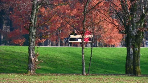 Two elderly woman sitting on bench in park Brdo, Slovenia Stock Footage 143178111