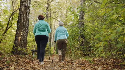 Two elderly women are practicing Nordic walking in an autumn forest Stock Footage 282866516