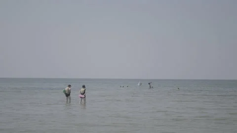 Two elderly women in bathing suits slowly enter the calm sea Stock Footage 239105165