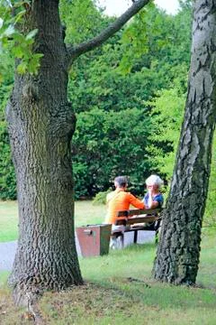 Two elderly women talking while sitting on bench in park Stock Photos