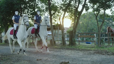 Two elegant people wearing anonymous masks riding white horses at sunset Vídeo Stock 98595686