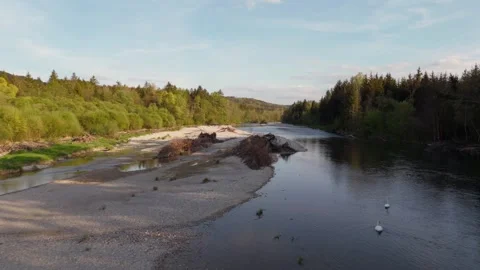 Two elegant swans drift on the Isar River near Munich, Germany. Their bond and Stock Footage 315683816