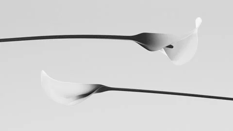 Two Elegant White Calla Lilies Smoothly Blooming in Black and White, Minima.. Stock Footage 339285882