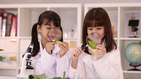 Two Elementary School Girls Examining Leaves with Magnifying Glasses in Science Stock Footage 345113476