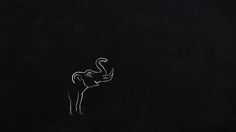 Two elephants architecture - self-drawing lines on black Stock Footage 109202633