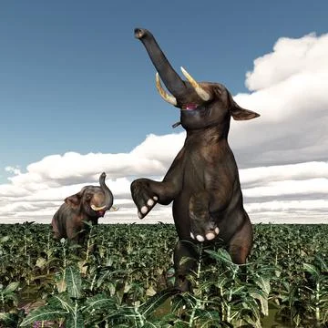 Two elephants in a landscape Stock Illustration