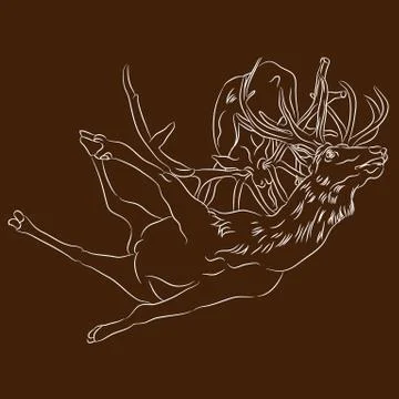 Two Elks Dueling Stock Illustration