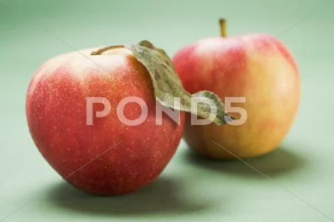 Two Elstar Apples, One With Leaf