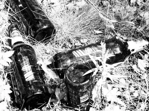 Two empty beer bottles on the grass. Black and white photo. Stock Photos