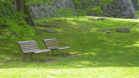 Two Empty bench in fresh green tree. Relaxing, holiday scene in Fukuoka city par Stock Footage 239412201
