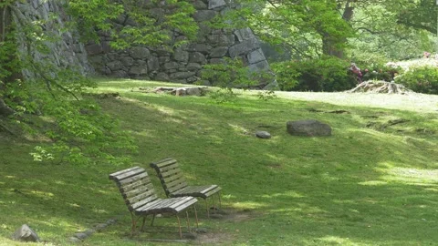 Two Empty bench in fresh green tree. Flying butterfly. Relaxing, holiday scene Stock Footage 239999677