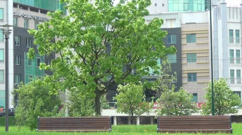 Two empty benches are in a city park Stockbeeldmateriaal 23552222
