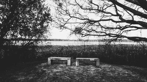 Two empty benches in front of the water in black and white full hd Stock Photos