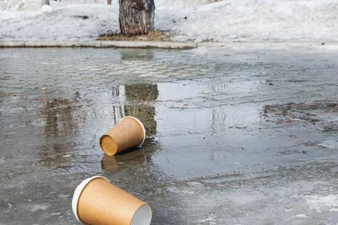 Two empty coffee cups were thrown onto the sidewalk in the park in the spring Foto stock