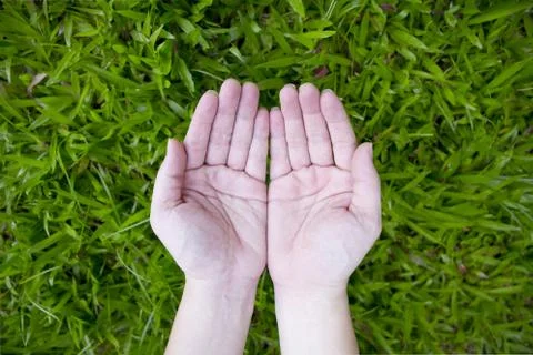 Two empty hands Stock Photos