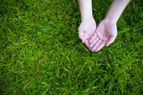 Two empty hands Stock Photos