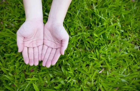 Two empty hands Stock Photos