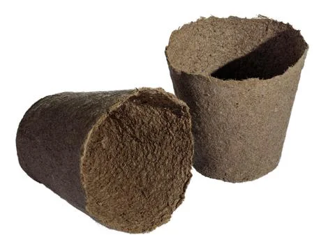 Two empty paper cups isolated on white Stock Photos