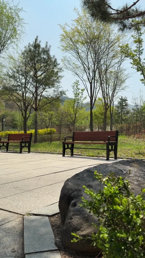 Two Empty Park Benches Beside a Large Rock in Summer, Vertical Stock Footage 339468614