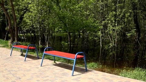 Two empty red benches in the park near the river bank. Stock Footage 197336657