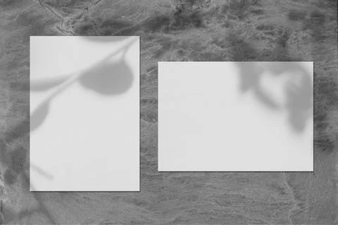 Two empty vertical and horizontal rectangle poster mockups with leaves shadow Stock Photos