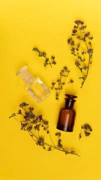 Two empty vials and dried origano flowers on yellow background. Stock Photos